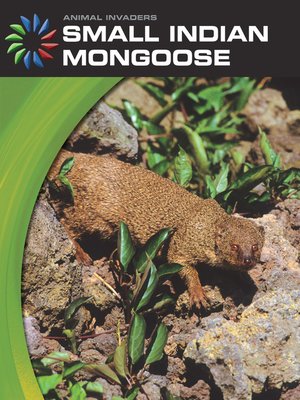 cover image of Small Indian Mongoose